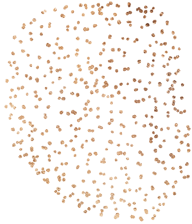 Section Graphics